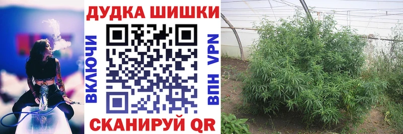 Купить наркотик Нягань ГАШ  Псилоцибиновые грибы  КОКАИН  Меф мяу мяу  Канабис 