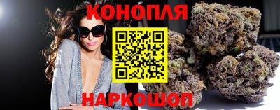 гидра Камышлов