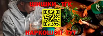 гидра Камышлов