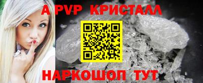 гидра Камышлов