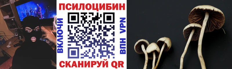 Галлюциногенные грибы MAGIC MUSHROOMS  mega   Нягань  где купить  