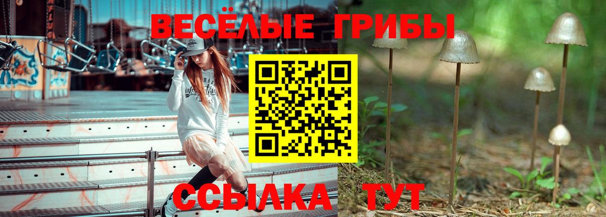Галлюциногенные грибы Psilocybe  Псилоцибиновые грибы Magic Shrooms  цена   Вход с VPN  Нягань 
